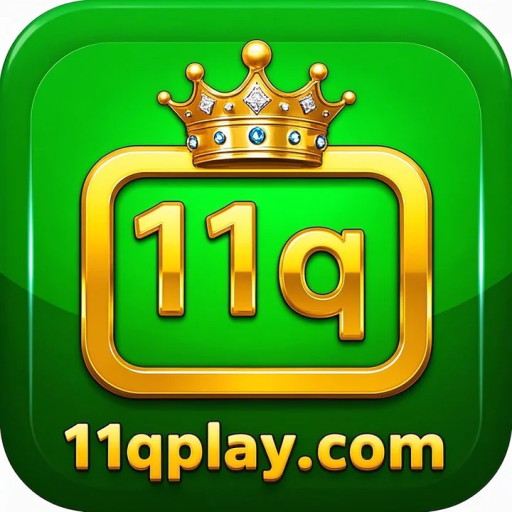 11q